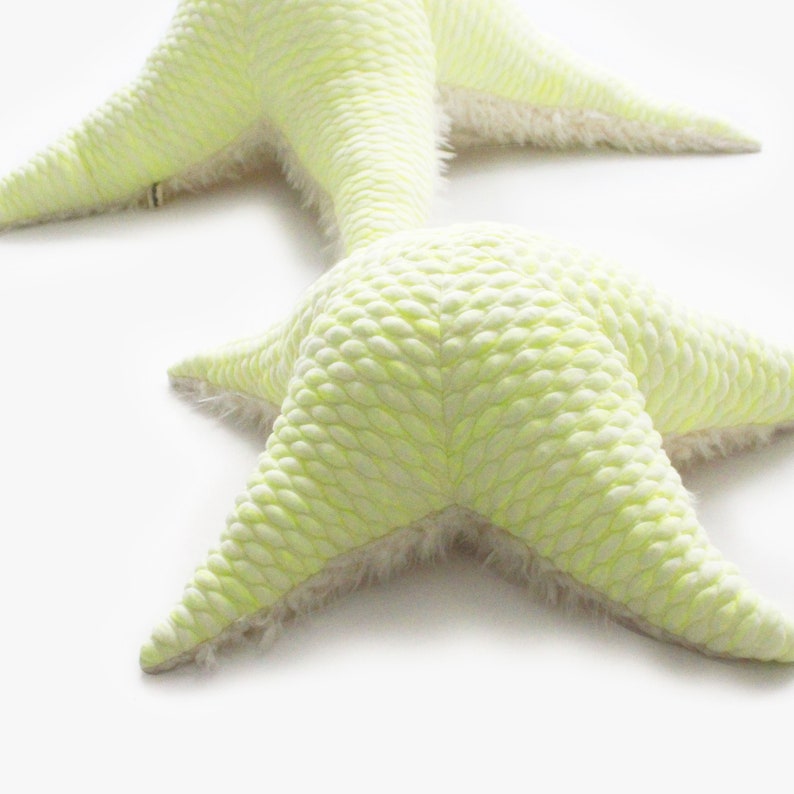 Small Neon SeaStar Handmade Plush toy image 3