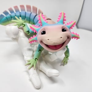Pink Axolotl Squishmallow Straw Cover -  Israel