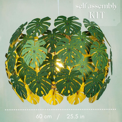 vhy in plants we trust Women's Home is Where you Plant it Short Sleeve Crusher-LITE Vee main image 0