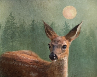 Magical deer photograph. Woodland art, full moon, forest green. Surreal animal portrait. Cabin decor, child's room decor. The Woodland Moon