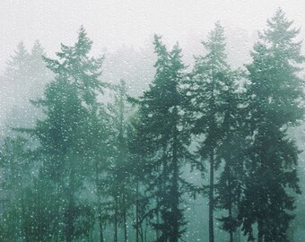 Moody evergreen forest photograph. Pacific Northwest forest art print. Dreamy, rainy day,  Large wall art. Muted green. Rain Forest