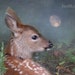 see more listings in the The Life of Deer section