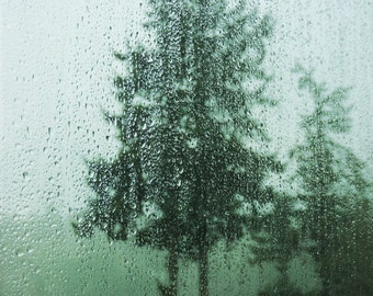 Moody evergreen tree photograph. Dreamy, zen, rainy day, raindrops on window. Northwest. Large wall art muted green. Forever Green