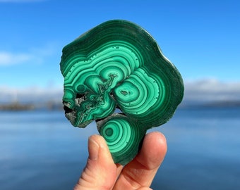 Malachite Slice ~ Raw Mineral Specimen