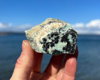 Druzy Chrysocolla with Dendrites ~ Raw Mineral Specimen