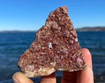 Salrose Crystal ~ Raw Mineral Specimen