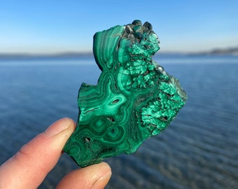 Malachite Slice ~ Raw Mineral Specimen