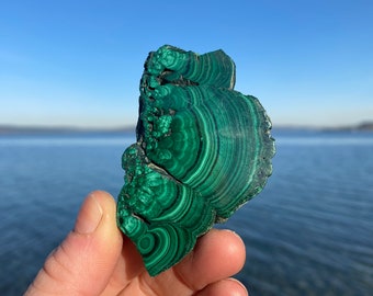 Malachite Slice ~ Raw Mineral Specimen