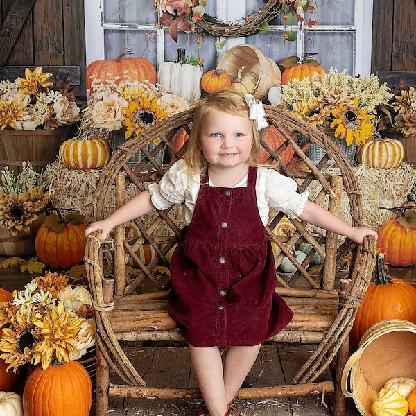 Fall Photo Backdrop, Fall Backdrop for Pictures, Fall Photo Background, Autumn Photo Backdrop, Fall Themed Backdrop Photography FALL294