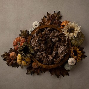 Fall Digital Backdrop Newborn, Digital Background, Digital Backgrounds for Newborn Photography Pumpkins Basket | Shades of Autumn