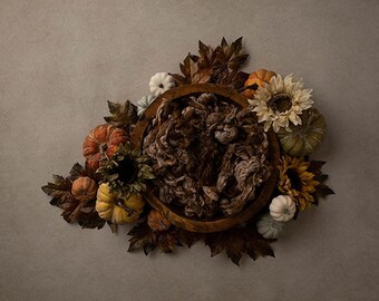 Fall Digital Backdrop Newborn, Digital Background, Digital Backgrounds for Newborn Photography Pumpkins Basket | Shades of Autumn