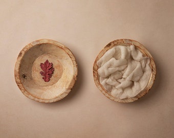 Fall Digital Backdrop Newborn, Digital Background, Digital Backgrounds for Newborn Photography Basket Autumn Pumpkin | Little Leaf