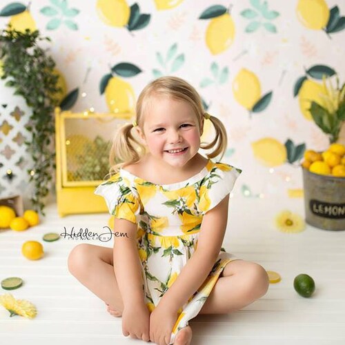 12x10ft Fresh Lemons Photography Backdrop Photo Background Stuido Photo Props LHFU022 12x10ft Fresh Lemons Photography Backdrop Photo Background Stuido Photo Props LHFU022