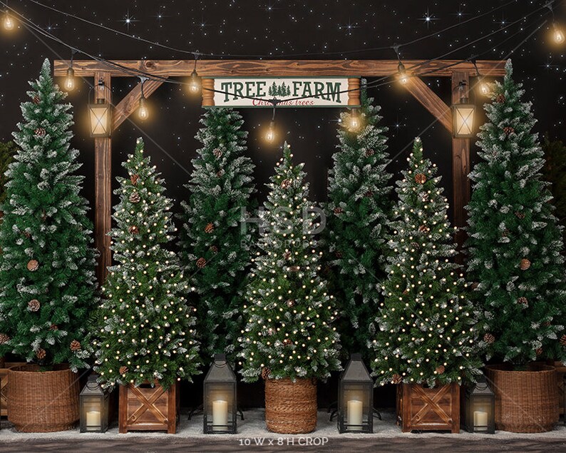 Christmas Backdrop, Christmas Photo Backdrop, Christmas Photography Backdrops, Christmas Tree Farm Backdrop, Xmas Backdrop Pictures CHS359 10'Wx8'H