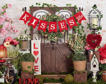Valentine Backdrop, Valentines Day Photo Backdrop, Valentines Backdrops for Photography, Valentine Picture Backdrop, Valentines Props VD245