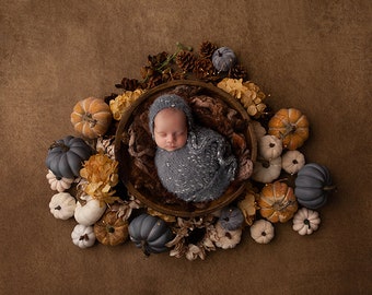 Fall Digital Backdrop, Newborn Baby Digital Backdrops, Digital Background for Baby Photography, Digital Photo Studio Background Autumn