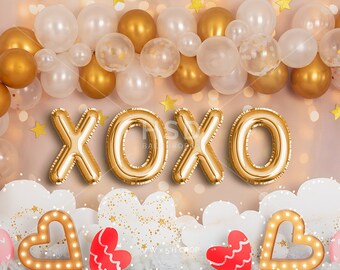 Valentine Backdrop, Valentines Day Photo Backdrop, Valentines Backdrops for Photography, Valentine Picture Backdrop, Valentines Props VD231