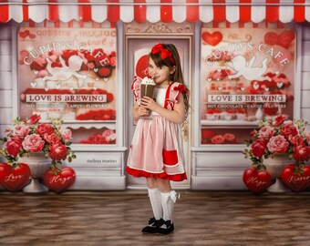 Valentines Day Cafe Photo Backdrop, Valentine Backdrop for Photography, Backdrop for Pictures, Portrait Background, Valentines Props VD251