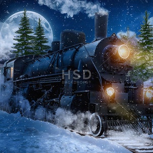 Christmas Train Backdrop, Express Train Backdrop to the North Pole, Winter Themed Backdrop, Christmas Photo Backdrop CHS384