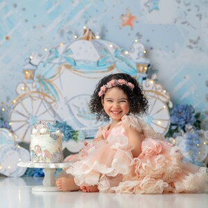 Cinderella Carriage Backdrop - Princess Birthday Backdrop - Cake Smash Backdrop Girl - Printed Photography Backdrop Set Up - WHM254 LPS