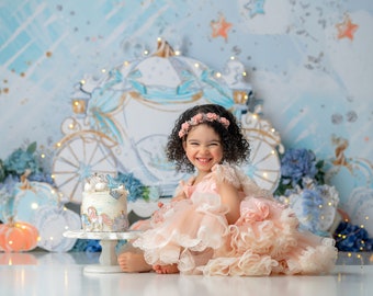 Toile de fond carrosse de Cendrillon - toile de fond d'anniversaire de princesse - fille de gâteau smash - toile de fond photographie imprimée mis en place - WHM254 LPS