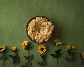 Digital Backdrop Nouveau-né, Fond numérique, contextes numériques pour la photographie nouveau-né (fr) Tournesol