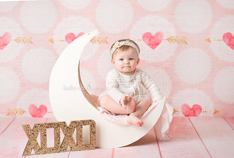 Valentine's Backdrop, Vinyl Photography Backdrop Valentine's Day Photography Background, Pink Valentines Photo Props Red Hearts VD145