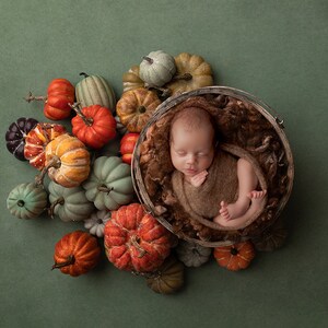 May include: A sleeping newborn baby wrapped in a brown blanket lies in a woven basket, encircled by an assortment of pumpkins. The pumpkins are in various sizes and colours, including orange, green, and white, all on a green background.