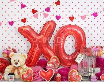 Valentine Backdrop, Valentines Day Photo Backdrop, Valentines Backdrops for Photography, Valentine Picture Backdrop, Valentines Props VD227