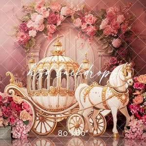 Princess Cake Smash Backdrop Girl - 1st Birthday Cake Smash Photo Background - Princess Carriage Photo Backdrop - Photo Props WHM626 JTP