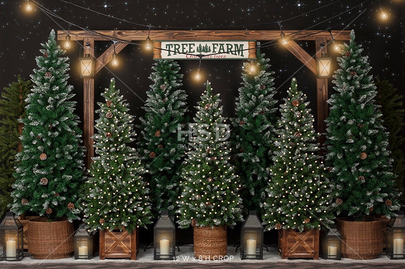 Christmas Backdrop, Christmas Photo Backdrop, Christmas Photography Backdrops, Christmas Tree Farm Backdrop, Xmas Backdrop Pictures CHS359 image 6