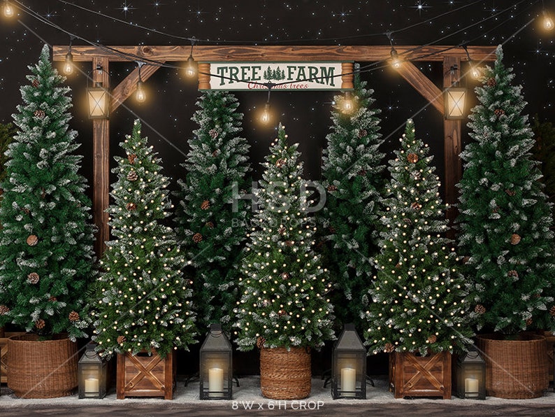 Christmas Backdrop, Christmas Photo Backdrop, Christmas Photography Backdrops, Christmas Tree Farm Backdrop, Xmas Backdrop Pictures CHS359 image 3