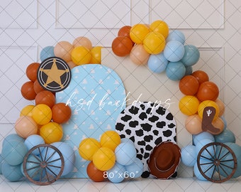 Woody the Cowboy Cake Smash Backdrop - 1st Birthday Photo ackdrop - Boy Cake Smash Background Photography - Cowboy Backdrop WHM408 PBP