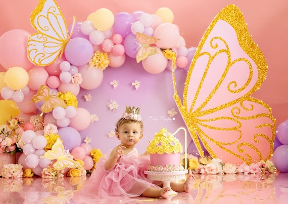 Baby girl hotsell butterfly theme