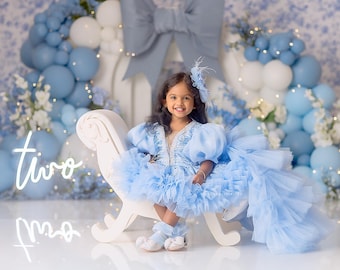 Blue Bow Arch 1er anniversaire Smash toile de fond - 1er anniversaire fille - Coquette Arch - toile de fond photoshoot - accessoires photo - WHM667 RPP