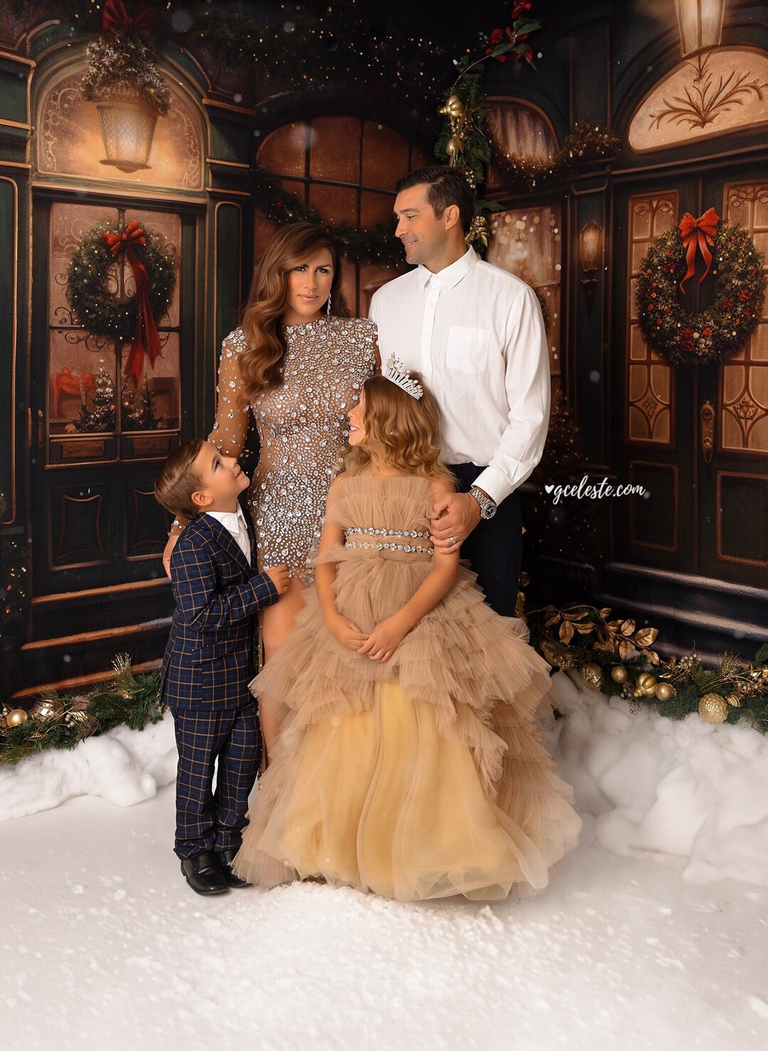Christmas Backdrops for Photography, Christmas Backdrop, Christmas ...