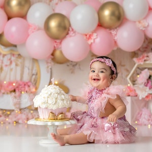 Princess Carriage Backdrop - Birthday Backdrop - Princess Cake Smash Backdrop Girl - Printed Photography Backdrop Set Up - WHM275 LPS