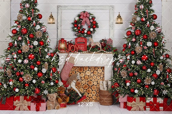 Christmas photo backdrop deals