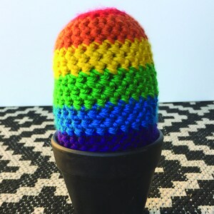 May include: A rainbow crocheted cactus in a black pot. The cactus is made with different colored yarn, including red, orange, yellow, green, blue, and purple.