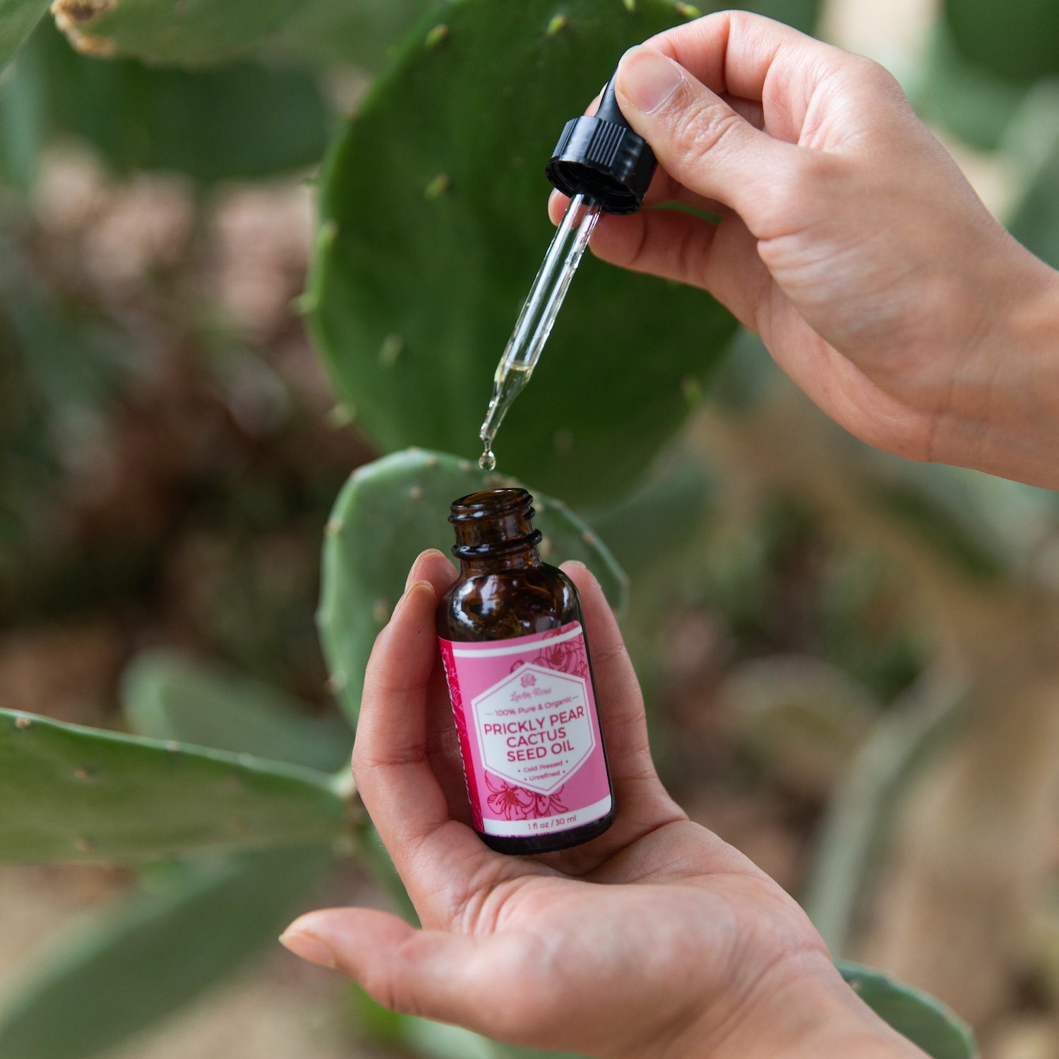 Leven Rose Prickly Pear Seed Oil (Barbary Fig) 100% Pure Organic Prickly  Pear Oil, Extra Virgin, Cold Pressed, All Natural Face, Dry Skin & Body