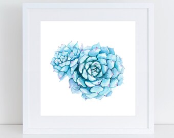 Blue Echeveria, succulent watercolor painting archival print.