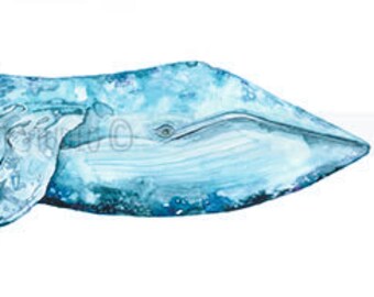 Blue Whale watercolor painting archival print.