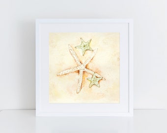 sea star, starfish, watercolor print, ocean life, aqua ocean, sand dollar, beach art, shells, treasure