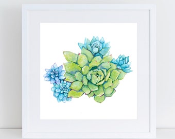 stone crop, green and blue echeveria, succulent painting, chicks and hens, succulent art minimalist, aqua, dessert plants, purple