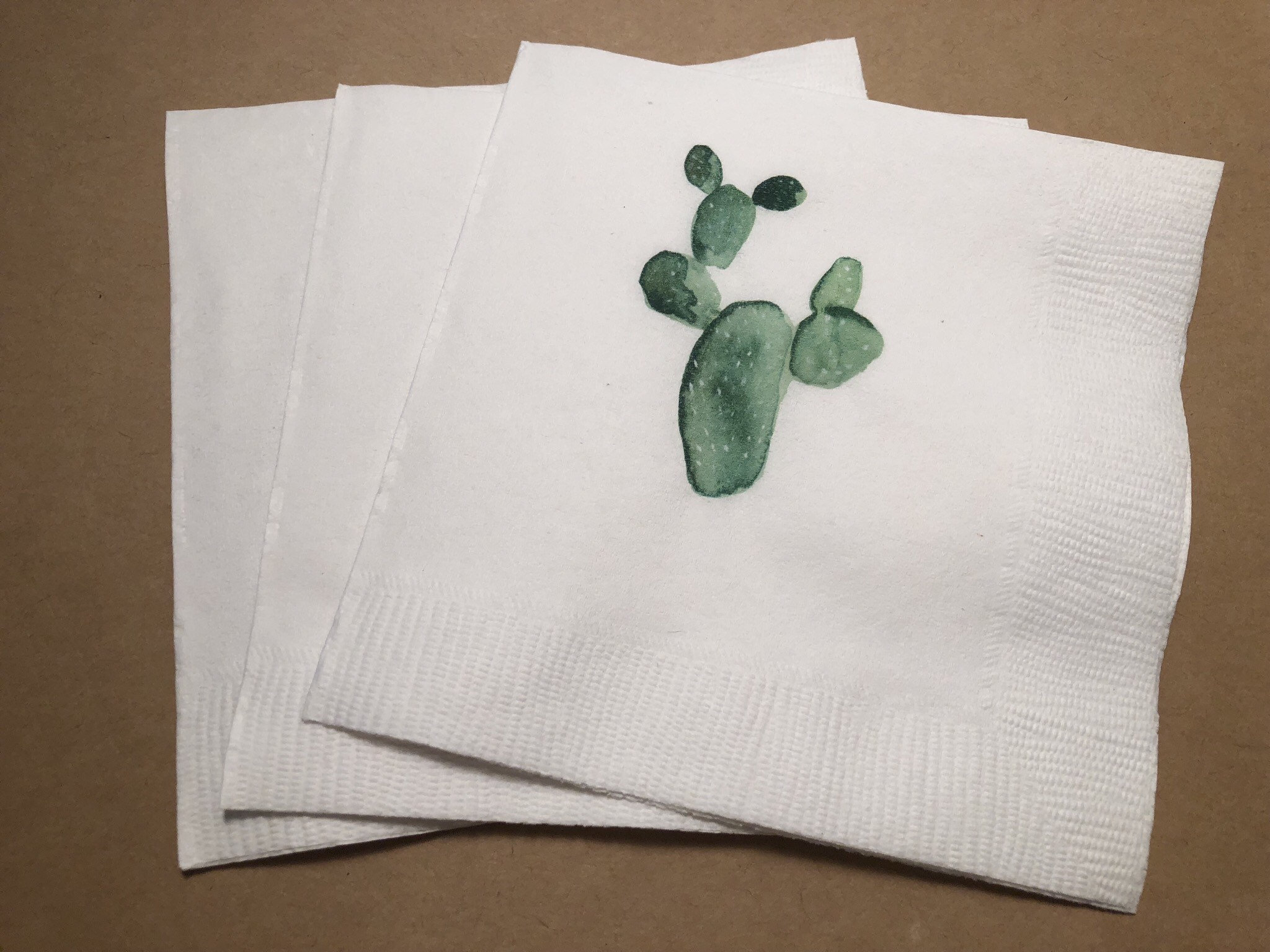 Cactus Bridal Shower Baby Shower Fiesta Succcent Birthday Fiesta Cactus Wedding Cocktail Luncheon or Dinner Napkins Set of 25