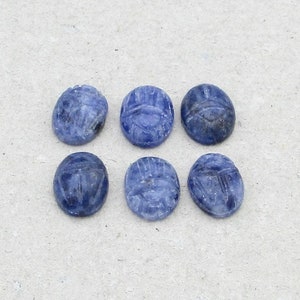 May include: Six blue scarab beetle shaped stones. Each stone has carved details and a slightly rough texture. The stones are arranged in two rows of three on a light gray surface.