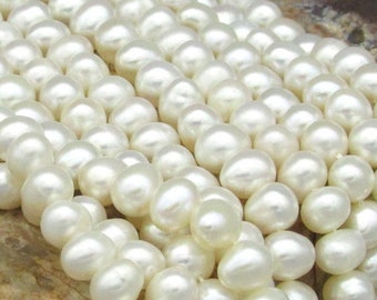 5.5-6.0mm Near Round Freshwater Pearl Beads, Pale Cream Rondelles 16” Strand