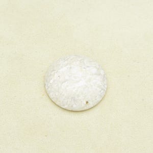 May include: A white round shell with a textured surface. The shell has a natural, organic look.