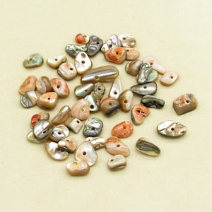 May include: A collection of irregularly shaped, natural shell beads in various colors, including cream, brown, orange, and iridescent hues. Each bead has a hole for stringing, ideal for jewelry making or crafts.