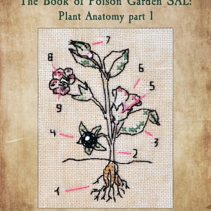 Poison Garden Book kruissteekpatroon, Halloween SAL Stich-A-Long (pdf-patroon) afbeelding 5